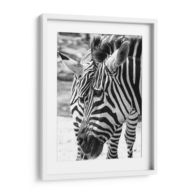 Blanco y Negro - Chepo Murua | Cuadro decorativo de Canvas Lab