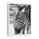 Blanco y Negro - Chepo Murua | Cuadro decorativo de Canvas Lab