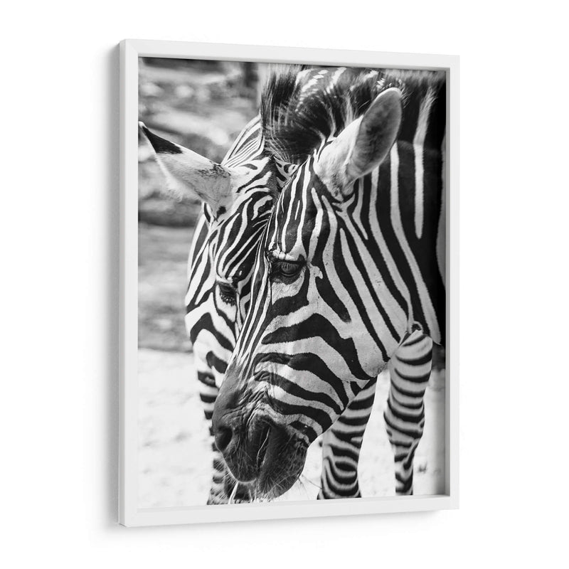 Blanco y Negro - Chepo Murua | Cuadro decorativo de Canvas Lab