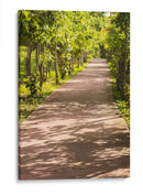 Camino Verde - Chepo Murua | Cuadro decorativo de Canvas Lab