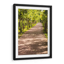 Camino Verde - Chepo Murua | Cuadro decorativo de Canvas Lab