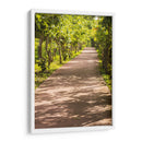 Camino Verde - Chepo Murua | Cuadro decorativo de Canvas Lab