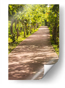 Camino Verde - Chepo Murua | Cuadro decorativo de Canvas Lab