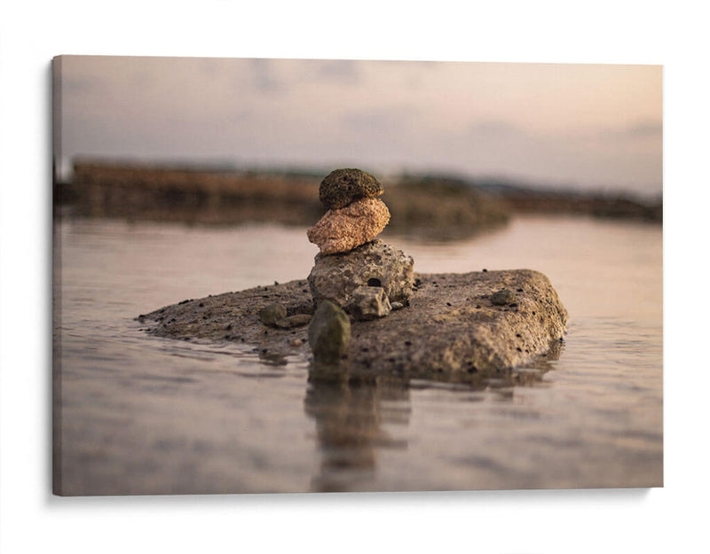 Equilibrio - Chepo Murua | Cuadro decorativo de Canvas Lab