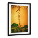 Raíces - Chepo Murua | Cuadro decorativo de Canvas Lab