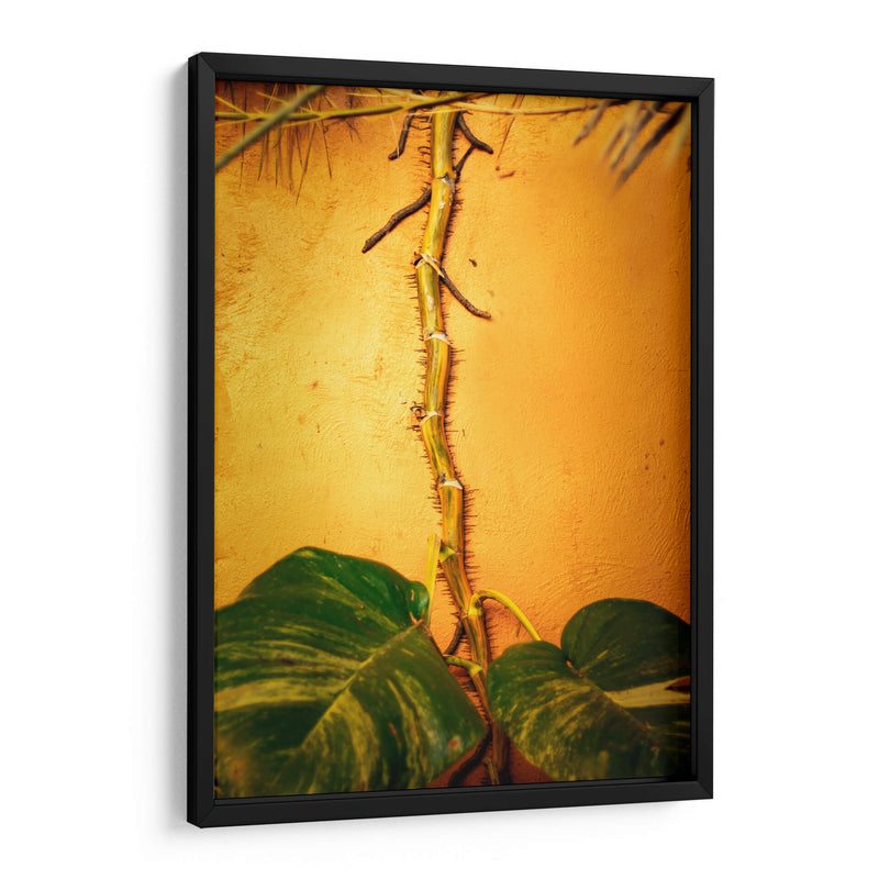 Raíces - Chepo Murua | Cuadro decorativo de Canvas Lab