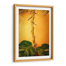 Raíces - Chepo Murua | Cuadro decorativo de Canvas Lab