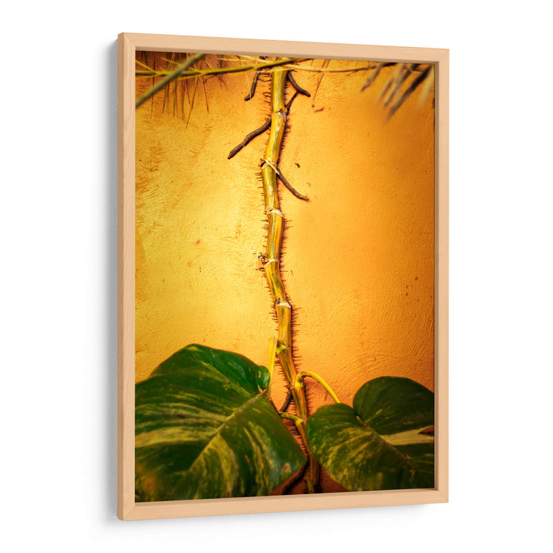 Raíces - Chepo Murua | Cuadro decorativo de Canvas Lab