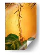 Raíces - Chepo Murua | Cuadro decorativo de Canvas Lab