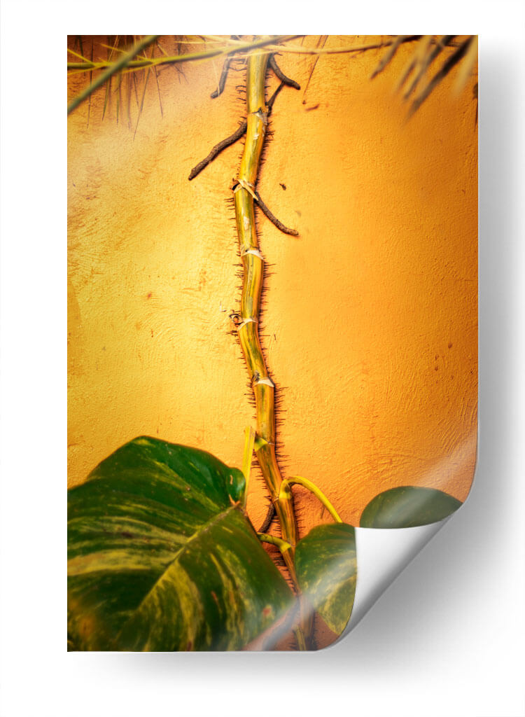 Raíces - Chepo Murua | Cuadro decorativo de Canvas Lab