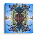 Maguey1 - dangarlop | Cuadro decorativo de Canvas Lab