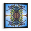 Maguey1 - dangarlop | Cuadro decorativo de Canvas Lab