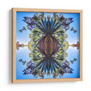 Maguey1 - dangarlop | Cuadro decorativo de Canvas Lab