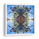 Maguey1 - dangarlop | Cuadro decorativo de Canvas Lab