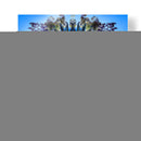 Maguey1 - dangarlop | Cuadro decorativo de Canvas Lab