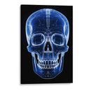 Craneo1 - dangarlop | Cuadro decorativo de Canvas Lab