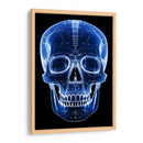 Craneo1 - dangarlop | Cuadro decorativo de Canvas Lab