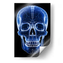 Craneo1 - dangarlop | Cuadro decorativo de Canvas Lab