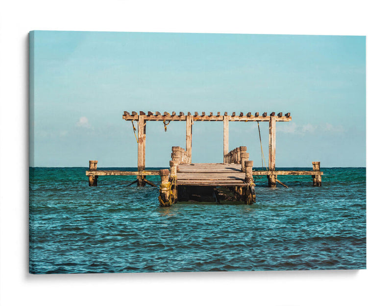 Simetría - Chepo Murua | Cuadro decorativo de Canvas Lab