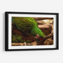 Verde - Chepo Murua | Cuadro decorativo de Canvas Lab