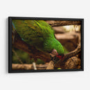 Verde - Chepo Murua | Cuadro decorativo de Canvas Lab