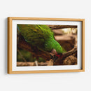 Verde - Chepo Murua | Cuadro decorativo de Canvas Lab