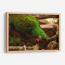 Verde - Chepo Murua | Cuadro decorativo de Canvas Lab