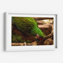 Verde - Chepo Murua | Cuadro decorativo de Canvas Lab