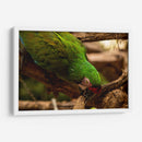 Verde - Chepo Murua | Cuadro decorativo de Canvas Lab