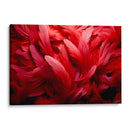 Vuela Conmigo - 17 - DeLaVegaGaming | Cuadro decorativo de Canvas Lab