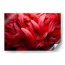 Vuela Conmigo - 17 - DeLaVegaGaming | Cuadro decorativo de Canvas Lab