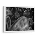 Opuntia - Maibet Boenka | Cuadro decorativo de Canvas Lab