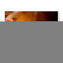 Coffee Love - 7 - DeLaVegaGaming | Cuadro decorativo de Canvas Lab