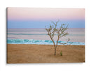 Atardecer en Cabo - Emilio Santamaria | Cuadro decorativo de Canvas Lab