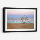 Atardecer en Cabo - Emilio Santamaria | Cuadro decorativo de Canvas Lab