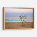 Atardecer en Cabo - Emilio Santamaria | Cuadro decorativo de Canvas Lab
