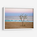 Atardecer en Cabo - Emilio Santamaria | Cuadro decorativo de Canvas Lab