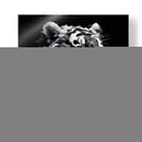 Mirada de Tigre - Paltik Arte Digital | Cuadro decorativo de Canvas Lab