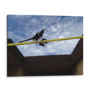 Libelula en cuerda - FotoCompagny | Cuadro decorativo de Canvas Lab