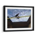 Libelula en cuerda - FotoCompagny | Cuadro decorativo de Canvas Lab