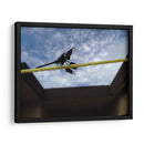 Libelula en cuerda - FotoCompagny | Cuadro decorativo de Canvas Lab