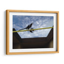 Libelula en cuerda - FotoCompagny | Cuadro decorativo de Canvas Lab