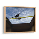 Libelula en cuerda - FotoCompagny | Cuadro decorativo de Canvas Lab