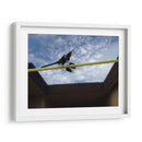 Libelula en cuerda - FotoCompagny | Cuadro decorativo de Canvas Lab