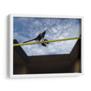 Libelula en cuerda - FotoCompagny | Cuadro decorativo de Canvas Lab