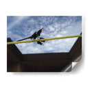 Libelula en cuerda - FotoCompagny | Cuadro decorativo de Canvas Lab