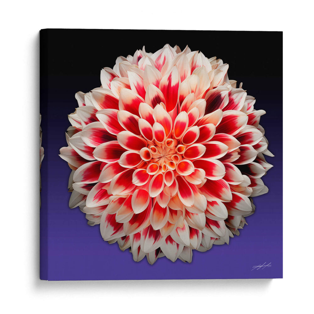 Florece - 5 - DeLaVegaGaming | Cuadro decorativo de Canvas Lab