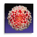 Florece - 5 - DeLaVegaGaming | Cuadro decorativo de Canvas Lab