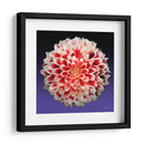 Florece - 5 - DeLaVegaGaming | Cuadro decorativo de Canvas Lab