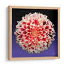 Florece - 5 - DeLaVegaGaming | Cuadro decorativo de Canvas Lab